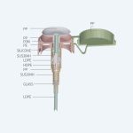 PCR Nail Cleaning Pump New Design 33/410 Plastic Pump For Bottle Customized Color - 图片 2